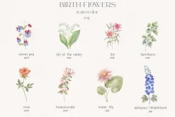 Birth-Flowers. Watercolor & Line Art