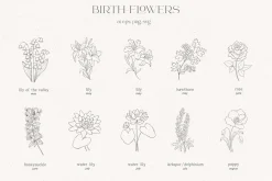 Birth-Flowers. Watercolor & Line Art