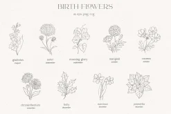 Birth-Flowers. Watercolor & Line Art