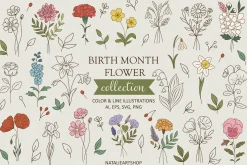 Birth month flower collection