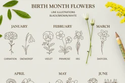 Birth month flower collection