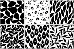 Black And White Floral Patterns