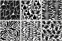 Black And White Floral Patterns