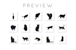 Black Cat Photoshop Overlays