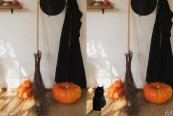 Black Cat Photoshop Overlays
