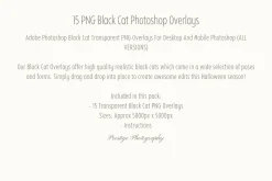 Black Cat Photoshop Overlays