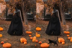 Black Cat Photoshop Overlays