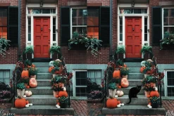 Black Cat Photoshop Overlays