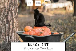 Black Cat Photoshop Overlays