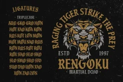 Black Division Typeface