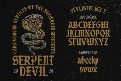 Black Division Typeface
