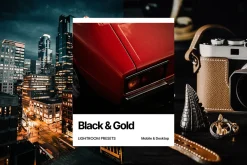Black & Gold Lightroom Presets