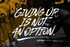 BLACKHAWK Brush Font