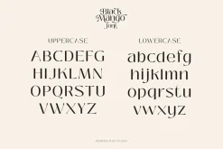 Black Mango - Modern beauty font