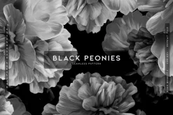Black Peonies