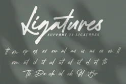 Black Signatures - Signature Font
