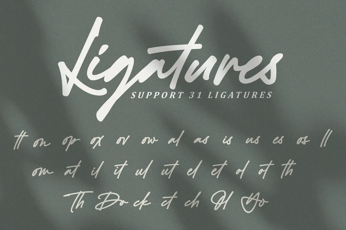 Black Signatures - Signature Font