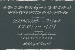 Black Signatures - Signature Font