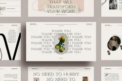 Blanche - 6 in 1 Canva Creator Pack