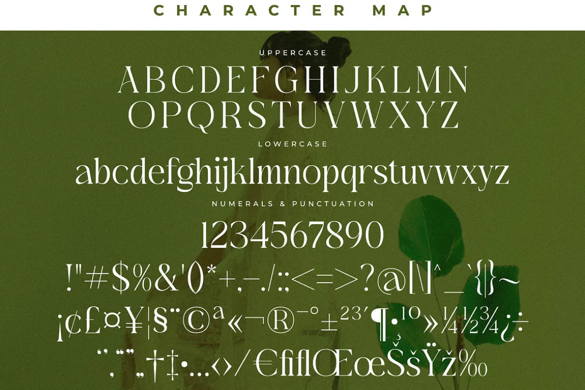 Blanvad Stylish Modern Serif