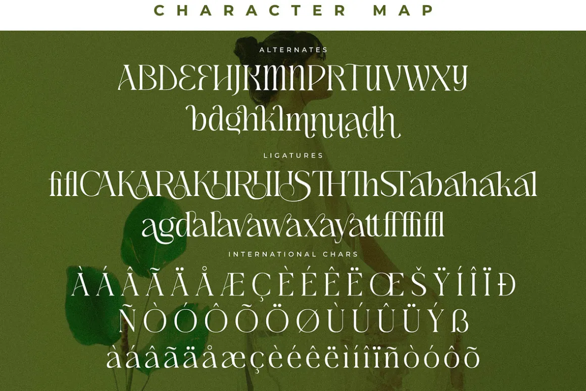 Blanvad Stylish Modern Serif