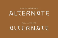 Blax - Sans Serif Alternate Font