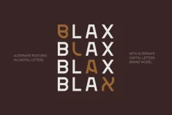 Blax - Sans Serif Alternate Font