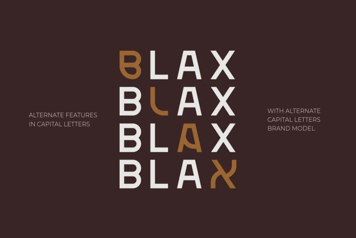 Blax - Sans Serif Alternate Font
