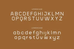 Blax - Sans Serif Alternate Font