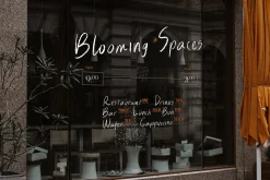 Blissful Radiance Handwritten Font