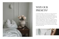 5 Blogger LR Presets + Video LUTs