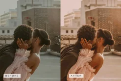 5 Blogger LR Presets + Video LUTs