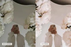 5 Blogger LR Presets + Video LUTs