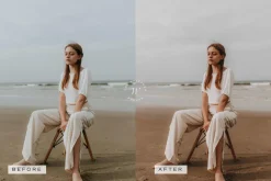5 Blogger LR Presets + Video LUTs