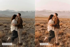5 Blogger LR Presets + Video LUTs