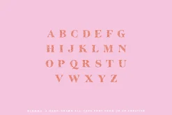 Blomma Hand-Drawn Display Font
