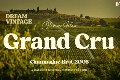 Blood Orange Vintage Serif