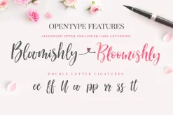 Bloomishly Brush Font