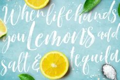 Bloomishly Brush Font