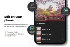 20 Blossom Lightroom Presets and LUT