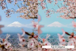 20 Blossom Lightroom Presets and LUT