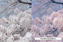 20 Blossom Lightroom Presets and LUT