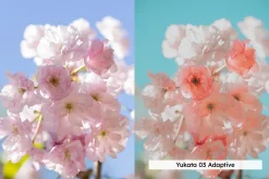 20 Blossom Lightroom Presets and LUT
