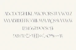 BLOSTA Font Duo//Serif & Script