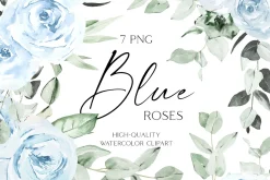 Blue roses - Soft pastel