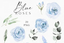 Blue roses - Soft pastel