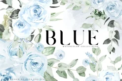 Blue roses - Soft pastel