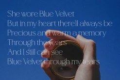 Blue Velvet - elegance serif font