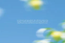 Blurred Summer: 136 Backgrounds