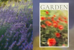 Blurry Flowers Abstract Backgrounds